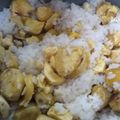 かえるのピクルス51's cooksnap of when they made かんたん栗ゴハン.