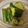 R2016's cooksnap of when they made やみつききゅうり.