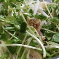 あゆたっくん's cooksnap of when they made 混ぜるだけで美味☆　大根と豆苗のサラダ.