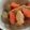 鹿部さっちゃんクック's cooksnap of when they made 鶏肉とこんにゃくと根菜の味噌煮.