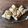 ★☆さくらんぼ★☆'s cooksnap of when they made 材料2つ！グラノーラのブロックチョコ.