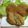 リナリオ's cooksnap of when they made ☆野菜たっぷりメンチカツ☆.
