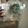 居酒屋アサティ's cooksnap of when they made #大葉の保存　冷蔵庫で長期保存・綺麗◎.