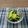 ◆どらしま◆'s cooksnap of when they made きゅうりの浅漬け.
