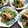 ひっこ's cooksnap of when they made 簡単！ピーマンとカニカマめんつゆごま和え.