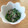 わかとみーの母's cooksnap of when they made ささげ(いんげん)の白だし炒め♪.