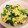 ほのそすママ's cooksnap of when they made 白だしで簡単もう１品♪小松菜の卵炒め.