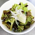 すずなまり's cooksnap of when they made しっとりレタスとしらすのサラダ.