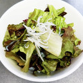 すずなまり's cooksnap of when they made しっとりレタスとしらすのサラダ.