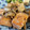 まなぴママ★'s cooksnap of when they made 簡単☆鮭ときのこのオイスター照り焼き。.