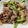 りいまあ's cooksnap of when they made 牛肉としめじとピーマンのオイスター炒め.