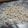 かおぞう's cooksnap of when they made ホームベーカリーでコシ抜群!手打ちうどん.