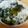 ビギナーえい's cooksnap of when they made 懐かしのわかめご飯.