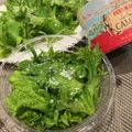 horseland's cooksnap of when they made 大量の大葉は塩漬けで長期保存.