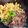 ♡みL1と♡'s cooksnap of when they made 2色丼 簡単 香ばしい香りで食欲そそる☆.