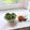 ☆なあなクック☆'s cooksnap of when they made 海ぶどうの食べ方　簡単土佐酢の作り方.