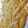 Tanukojp's cooksnap of when they made お菓子作りに便利！日向夏のピール.