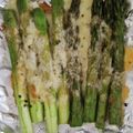 frootique's cooksnap of when they made 簡単！美味しい♪アスパラのチーズ焼き.