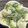 TinyKeek's cooksnap of when they made しゃきしゃきおかひじき♪はんぺんマヨあえ.