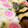 ふぁんころ's cooksnap of when they made お弁当に♪かまぼこ・なるとの白だし煮.