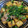 はなちゃん母さん's cooksnap of when they made 厚揚げと豚肉のオイスターソース炒め.
