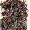 ささきぶんた's cooksnap of when they made 梅講師直伝㉘赤しそでもみしその作り方.