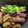 TYSK's cooksnap of when they made ◆レンジ蒸し　なすの中華風◆.