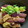TYSK's cooksnap of when they made ◆レンジ蒸し　なすの中華風◆.
