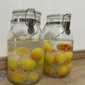 満腹たぬき's cooksnap of when they made 簡単美味の完熟梅酒☆まろやかﾌﾙｰﾃｨ！.