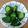 みぃくんのママ's cooksnap of when they made 簡単過ぎ！きゅうりの漬物.