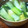 クックM96XDX☆'s cooksnap of when they made 小松菜と卵の和風スープ.