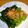 クックJOEさん's cooksnap of when they made レンジで簡単 ほうれん草のおひたし.