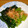 クックJOEさん's cooksnap of when they made レンジで簡単 ほうれん草のおひたし.