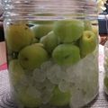 吉祥子's cooksnap of when they made [基本]梅酒の作り方.