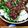 クックM96XDX☆'s cooksnap of when they made 長芋としその梅ドレッシングサラダ.