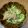 おねんどお母さん's cooksnap of when they made 鯖味噌缶と胡瓜の相性は☆☆☆っつ!!.