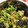 クックE662AA☆'s cooksnap of when they made 水菜と海苔の韓国風和え物.