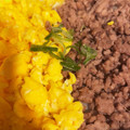 ぷーとんR's cooksnap of when they made 失敗かと思ったら…美味しかったそぼろ.