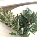 はせゆた's cooksnap of when they made よもぎの天ぷら.