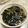 miwa♪tomi's cooksnap of when they made 速攻完成！もやしとワカメの中華風スープ.
