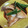 クックHDP0M2☆'s cooksnap of when they made 簡単黄金比！我が家のブリの照り焼き！.