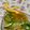 クックWZ3WQY☆'s cooksnap of when they made オレンジの飾り切り、切り方.