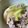 dollyj's cooksnap of when they made 絶品！ 豚バラ肉とかぶの煮物 簡単.