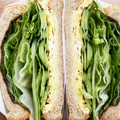 お塩と砂糖's cooksnap of when they made 和風☆卵焼きと海苔の佃煮のサンドウィッチ.
