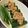 mi2sa9's cooksnap of when they made 簡単おつまみ♡肉味噌キュウリ♪.