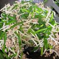ヘルシーみちこ's cooksnap of when they made もやしとにらと挽き肉の中華炒め.