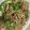 さとかげつん's cooksnap of when they made ご飯に合う！牛肉とピーマンのあまから.