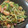 ならっぺ☆'s cooksnap of when they made 夏にぴったり♫ゴーヤと豚こまのカレー炒め.