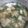マキマキ913's cooksnap of when they made ニラとえのきの中華スープ.