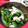 かわゆう1211's cooksnap of when they made 小松菜と湯葉の煮浸し.